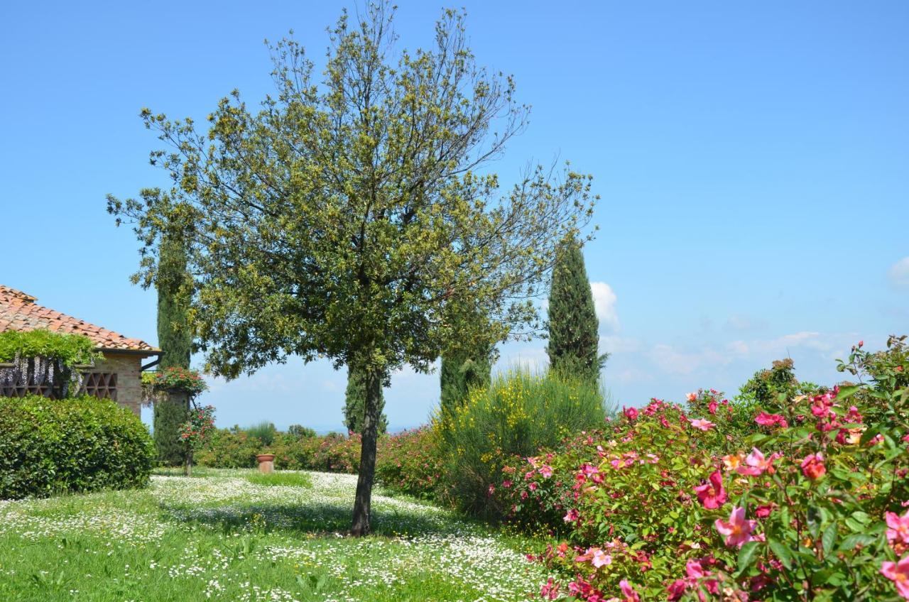 Rigone In Chianti Montaione