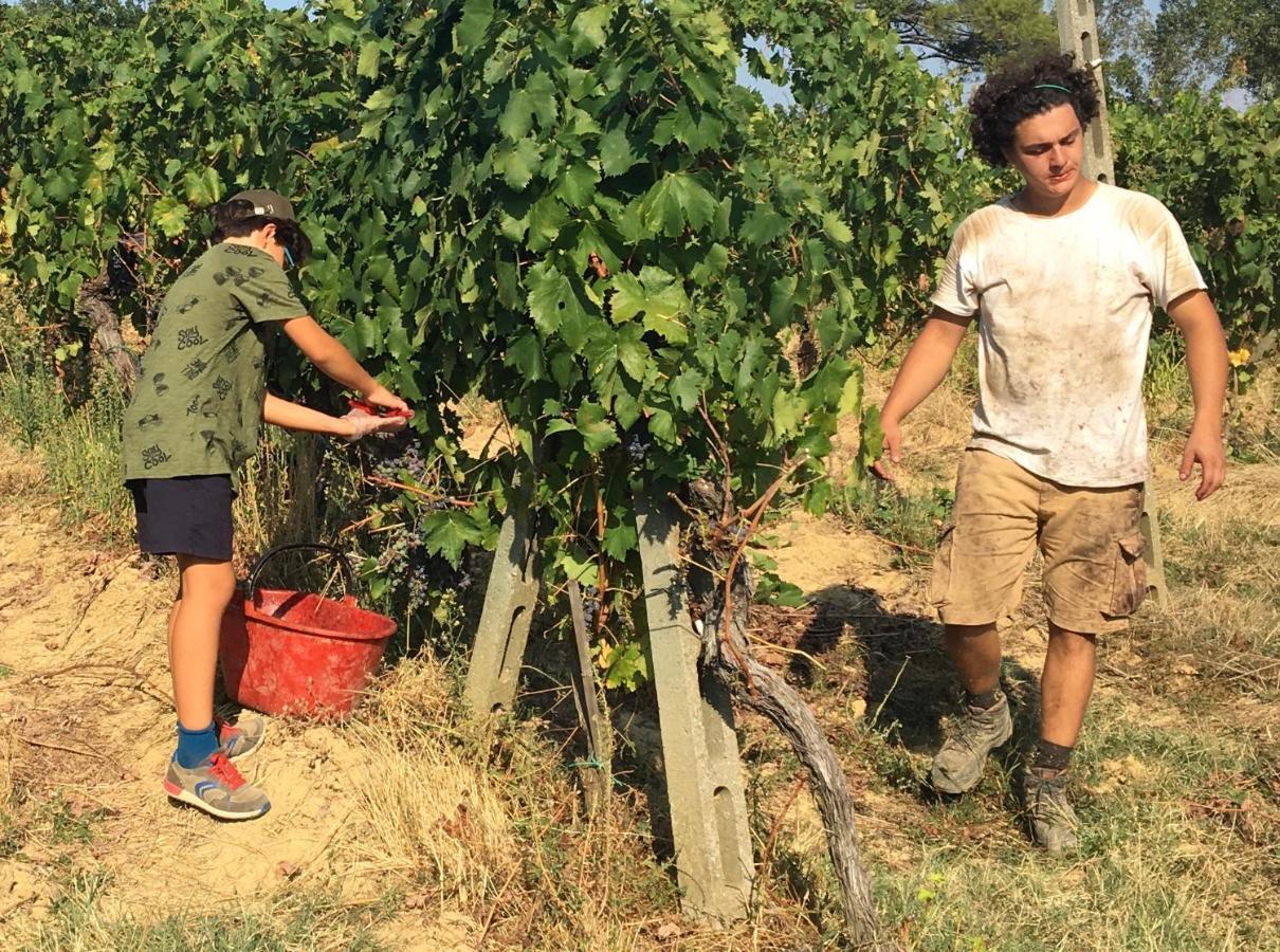 Rigone In Chianti Montaione