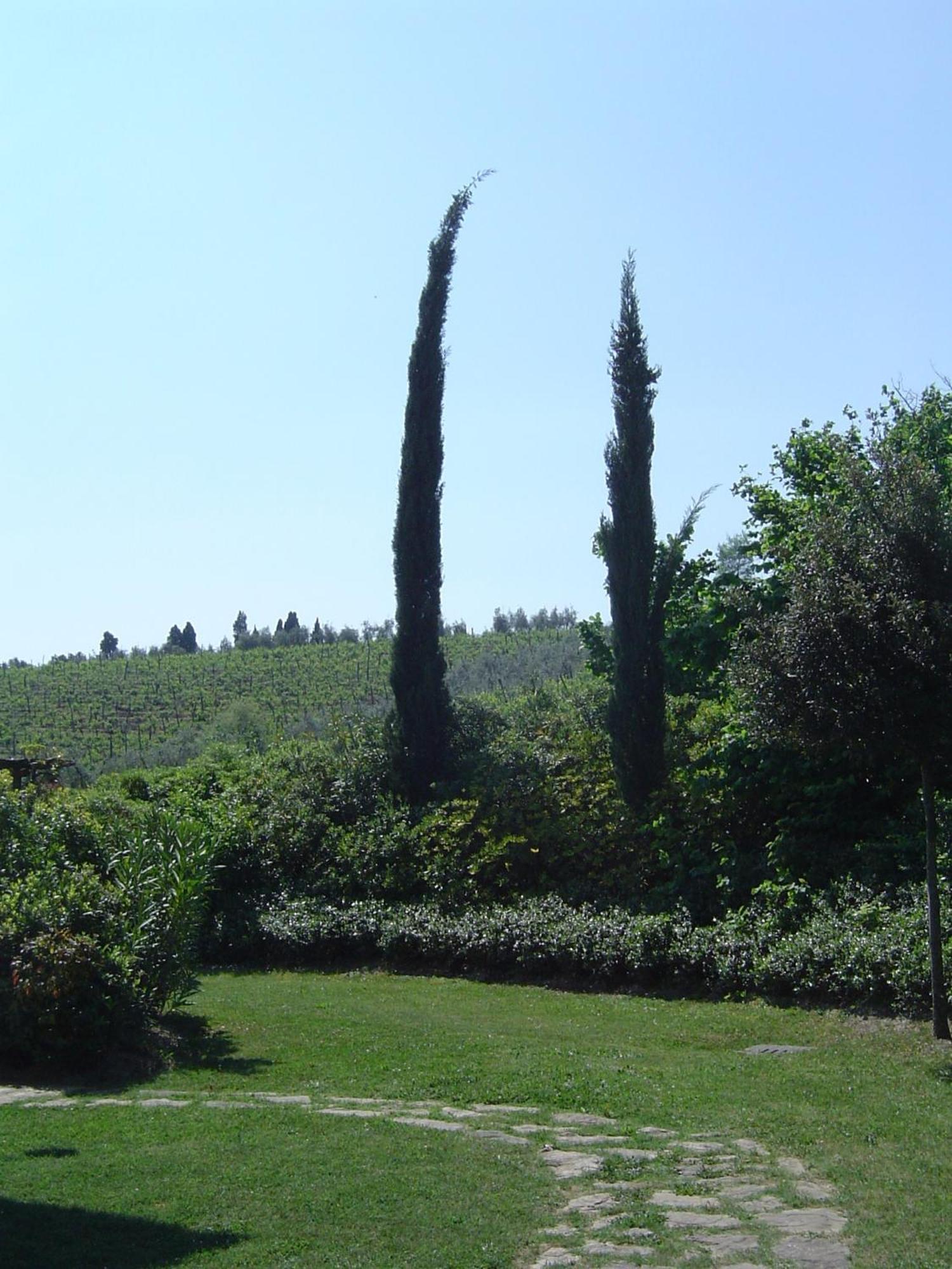 Rigone In Chianti Montaione
