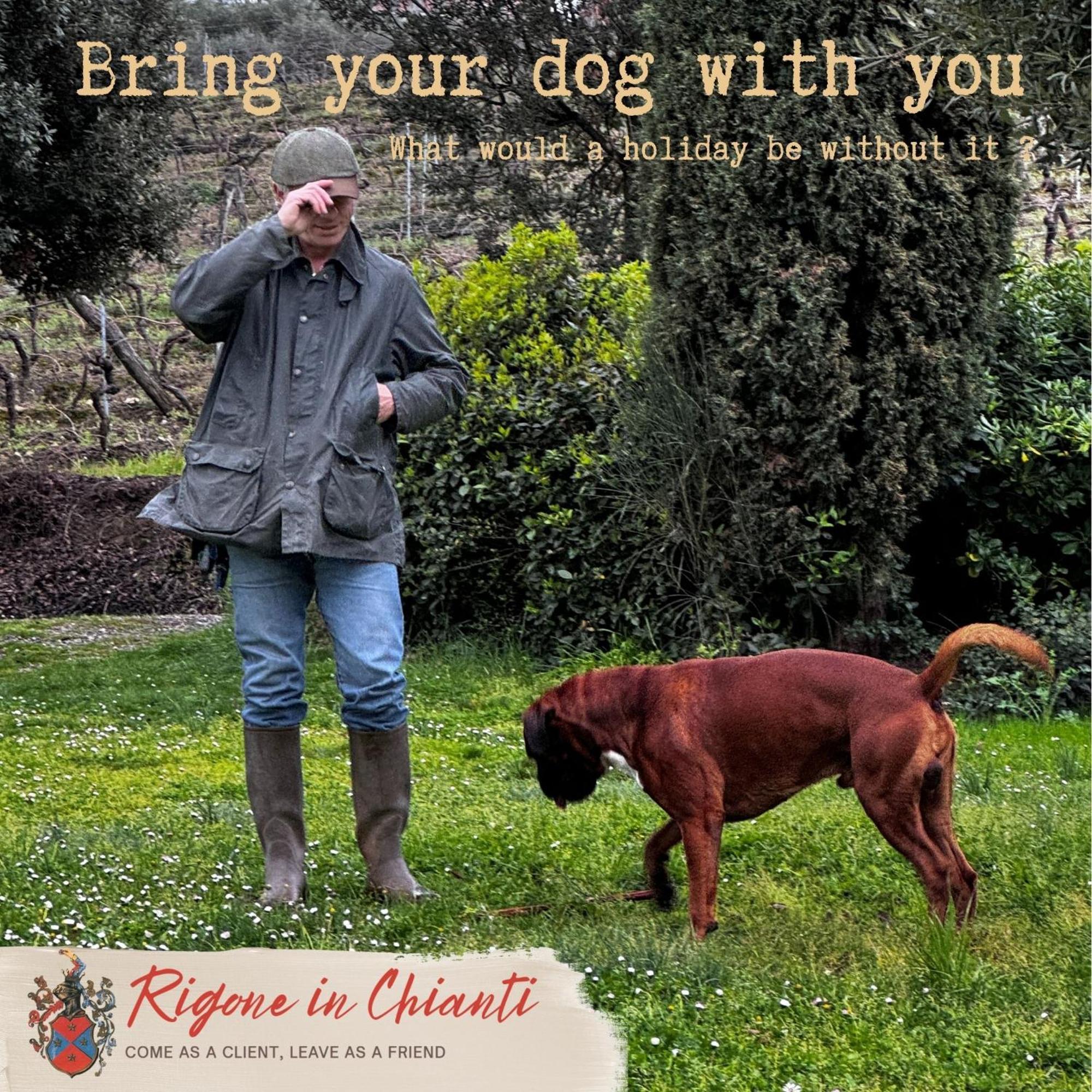 Vakantieboerderij Rigone In Chianti *