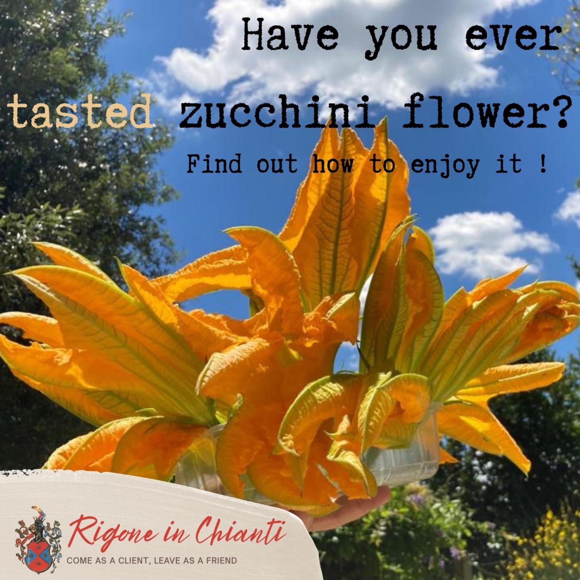 Rigone In Chianti Agroturismo Montaione